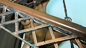 The neighbor's sister-in-law's husband is out, leaving her big tits exposed for bisexual fun