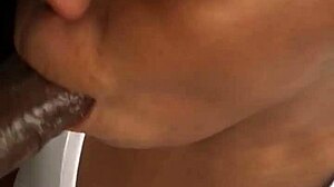 White Slut Sucks Huge Black Cock Deeply