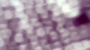 Ebony Teen's Big Ass Fucked Outdoors Twice