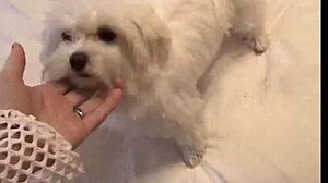 Brookeskye Fingers Asian Babe in Lingerie