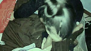 this sweet latina is sucking a big black cock in her homemade video