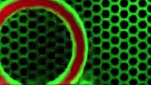 Student, Show Those Tits Very Close to the Camera!