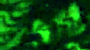 She fucked her way up the corporate ladder with her big tits and skills