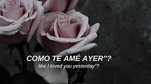 Spanish subtitles for my chemical romance's i don't love you goth version