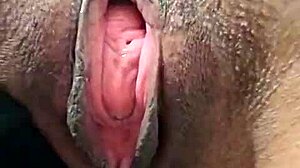 Brenda Floripa Shows Off In Solo Masturbation Session