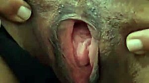 Brenda Floripa Shows Off In Solo Masturbation Session