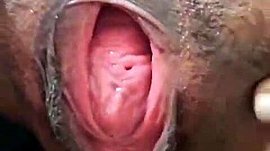 Brenda Floripa Shows Off In Solo Masturbation Session