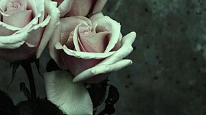 Spanish subtitles for my chemical romance's i don't love you goth version