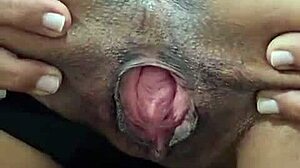 Brenda Floripa Shows Off In Solo Masturbation Session