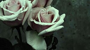 Spanish subtitles for my chemical romance's i don't love you goth version