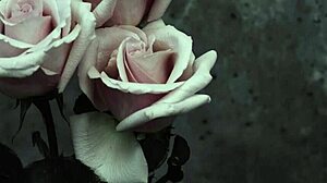 Spanish subtitles for my chemical romance's i don't love you goth version