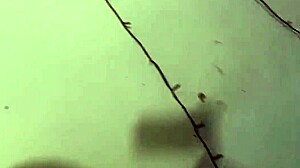 Wild redhead teen performs energetically in video