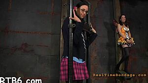 Domina commands rough missionary fucking with blowjob in bdsm session