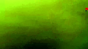 Horny Big Black Cock Fucks Beautiful Stepsister Hardcore