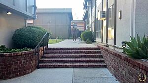 layla quinn meets rome major for a personal encounter