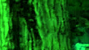 Paradise Trails VR Part 2