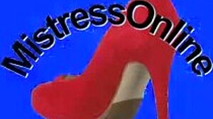 Spiderbabe Halloween Costume Fun