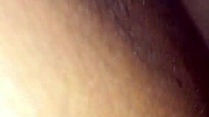 Latina cuckold wife rides black cock cowgirl, husband swallows creampie from her ass