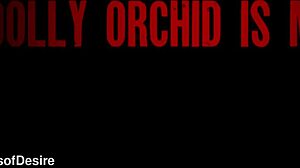 Is Asian Beauty Dolly Orchid Ready For Tattooed Spanish Man's Wet Pounding?