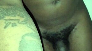 College Ass Deflowered, Mexican Brazilian Hungarian Housewife European Spanish Dutch Action