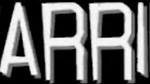 lesbian pornstar vicky vette masturbates with dildo