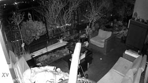 M4rkus77 Caught Jerking with Loud Moans. Spy Cam Captures Public Cum!