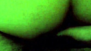 doggy style fun time