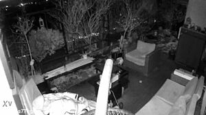 M4rkus77 Caught Jerking with Loud Moans. Spy Cam Captures Public Cum!