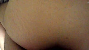 doggy style fun time