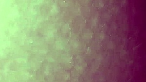 Wife Takes Cock And Glass Dildo In Pussy