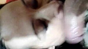 tremenda chupa pija de argentina