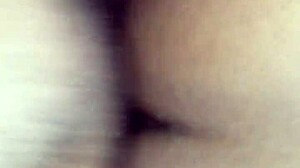 Wet creamy black skin glistens under the light