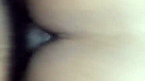 Wet creamy black skin glistens under the light