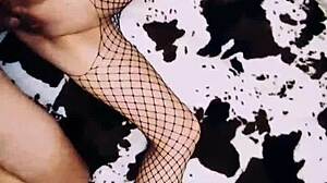 Wife In Erotic Fishnet Bodysuit Spreads Legs Beautifully