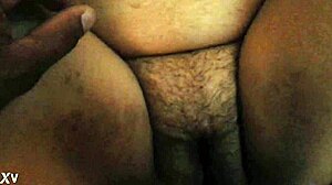 Frankjesee's Intriguing Tale Of Adventures In The City With Friends And Family Members