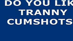 hot shemale does self facial cumshot