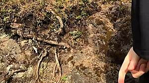 Chubbykaot in the forest again