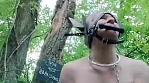 2024 ponygirl slave humiliated in forest with buttplug and slaps