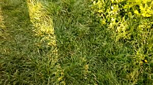 Neighbor Thanks Me with Passionate Cunnilingus After Flowers