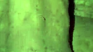 athletic slut flashes at group party then bends over for taboo fucking