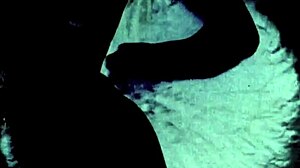 Amazing Vintage Erotic Drawings Of Hairy Beauties!