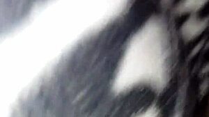 bbw hardcore with big tits daddy fat ass homemade