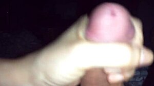 Punhetinha Matinal With Intriguing Masturbation