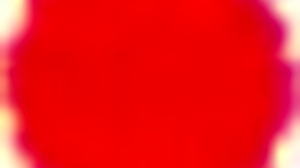 I keep coming back to ride on the sofa with him