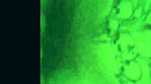 compilation of various scenes