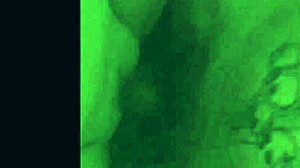 compilation of various scenes