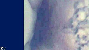 compilation of various scenes