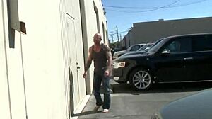 amateurs have quickie orgasms at the office