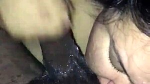 Nasty bbw gives great head to monster black cock