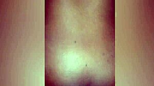 bbc and pussy in a creampie scene